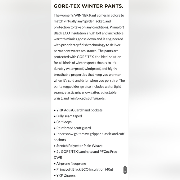 Spyder Winner Gore Tex Pants - Picture 2 of 12